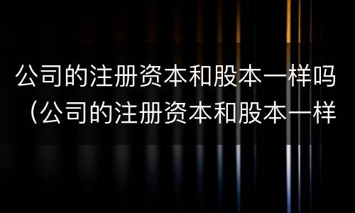 公司的注册资本和股本一样吗（公司的注册资本和股本一样吗怎么查）