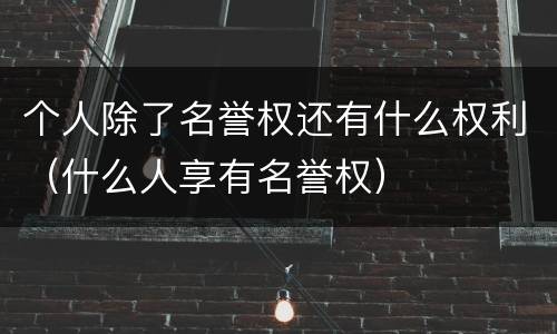 个人除了名誉权还有什么权利（什么人享有名誉权）