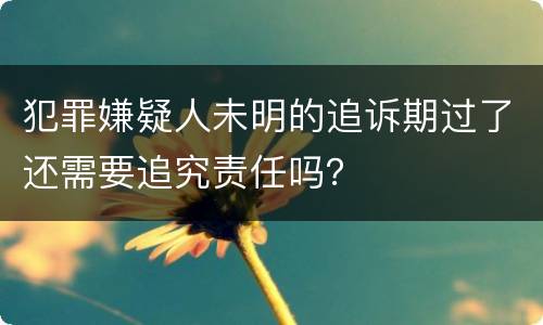 犯罪嫌疑人未明的追诉期过了还需要追究责任吗？