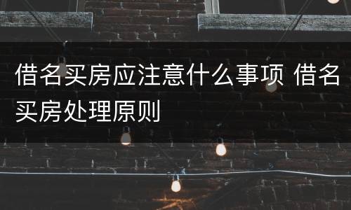 借名买房应注意什么事项 借名买房处理原则