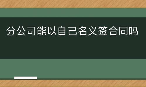 分公司能以自己名义签合同吗