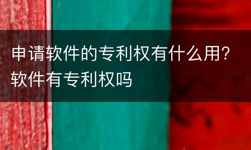 申请软件的专利权有什么用? 软件有专利权吗