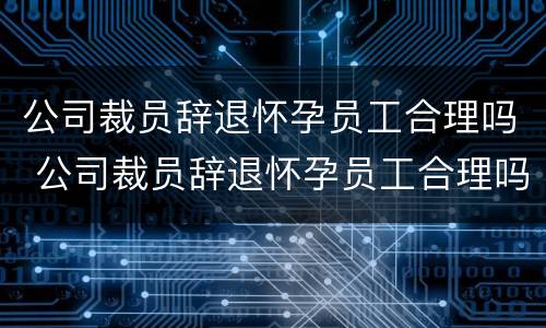 公司裁员辞退怀孕员工合理吗 公司裁员辞退怀孕员工合理吗合法吗