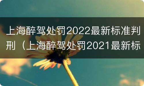 上海醉驾处罚2022最新标准判刑（上海醉驾处罚2021最新标准）