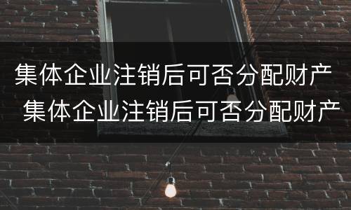 集体企业注销后可否分配财产 集体企业注销后可否分配财产给个人