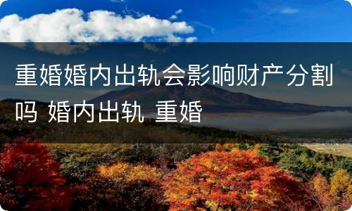 重婚婚内岀轨会影响财产分割吗 婚内出轨 重婚
