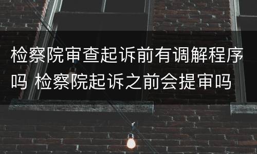 检察院审查起诉前有调解程序吗 检察院起诉之前会提审吗