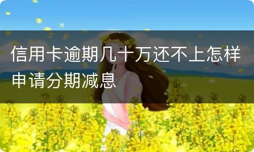 信用卡逾期几十万还不上怎样申请分期减息