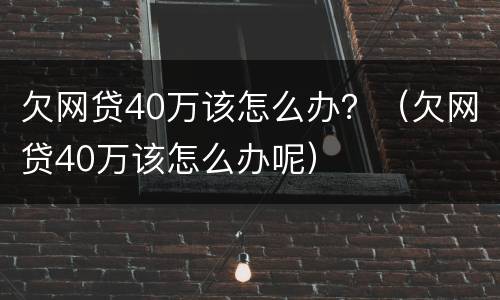 欠网贷40万该怎么办？（欠网贷40万该怎么办呢）