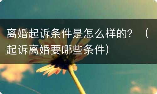 离婚起诉条件是怎么样的？（起诉离婚要哪些条件）