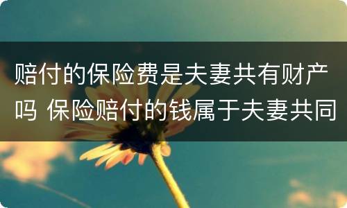 赔付的保险费是夫妻共有财产吗 保险赔付的钱属于夫妻共同财产吗