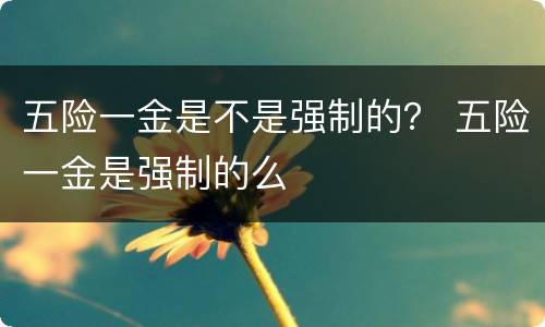 五险一金是不是强制的？ 五险一金是强制的么