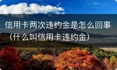 信用卡两次违约金是怎么回事（什么叫信用卡违约金）