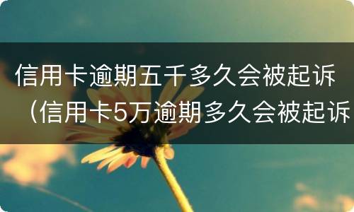 信用卡逾期五千多久会被起诉（信用卡5万逾期多久会被起诉）