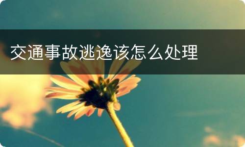 交通事故逃逸该怎么处理