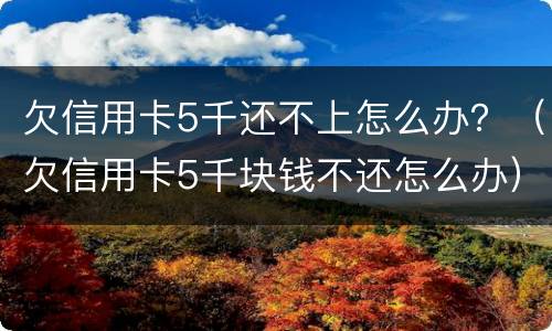 欠信用卡5千还不上怎么办？（欠信用卡5千块钱不还怎么办）
