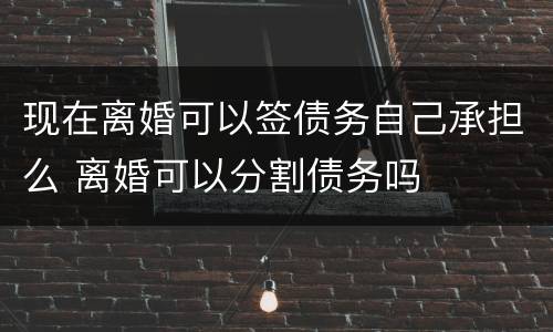 现在离婚可以签债务自己承担么 离婚可以分割债务吗