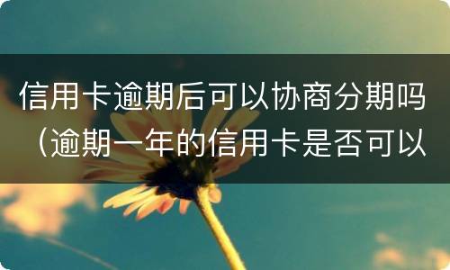 信用卡逾期后可以协商分期吗（逾期一年的信用卡是否可以去协商分期）