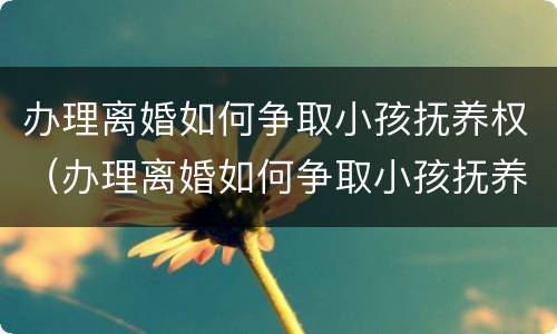 办理离婚如何争取小孩抚养权（办理离婚如何争取小孩抚养权和抚养权）