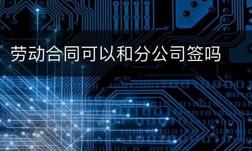 劳动合同可以和分公司签吗