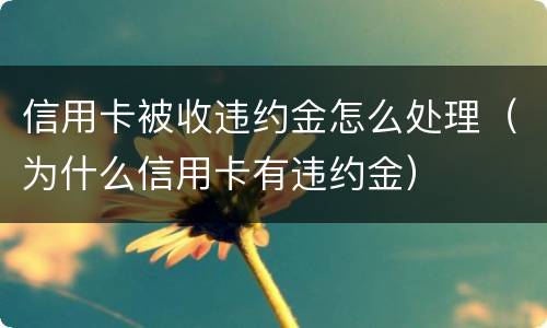 信用卡被收违约金怎么处理（为什么信用卡有违约金）