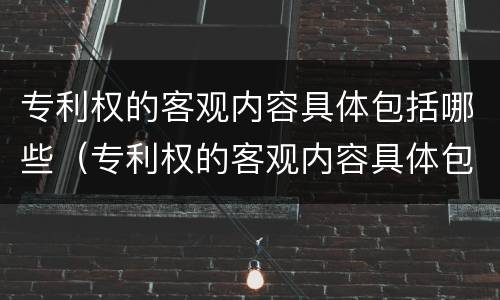 专利权的客观内容具体包括哪些（专利权的客观内容具体包括哪些要素）
