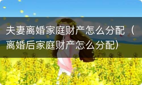 夫妻离婚家庭财产怎么分配（离婚后家庭财产怎么分配）