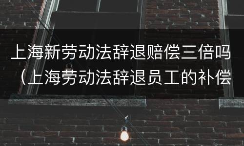 上海新劳动法辞退赔偿三倍吗（上海劳动法辞退员工的补偿标准）