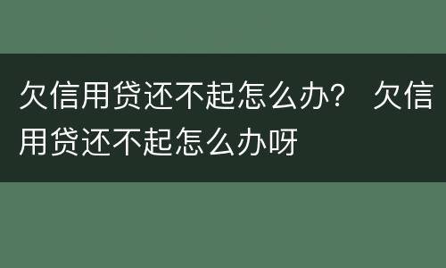欠信用贷还不起怎么办？ 欠信用贷还不起怎么办呀