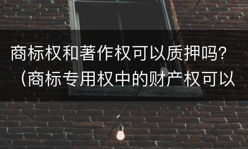 商标权和著作权可以质押吗?(商标专用权中的财产权可以质押吗) 商标权和著作权可以质押吗?(商标专用权中的财产权可以质押吗)