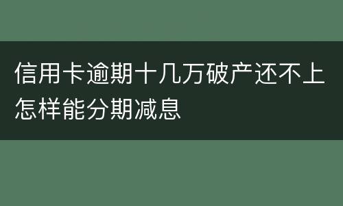 信用卡逾期十几万破产还不上怎样能分期减息