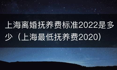 上海离婚抚养费标准2022是多少（上海最低抚养费2020）
