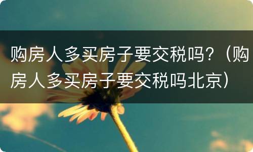 购房人多买房子要交税吗?（购房人多买房子要交税吗北京）