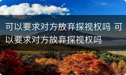 可以要求对方放弃探视权吗 可以要求对方放弃探视权吗