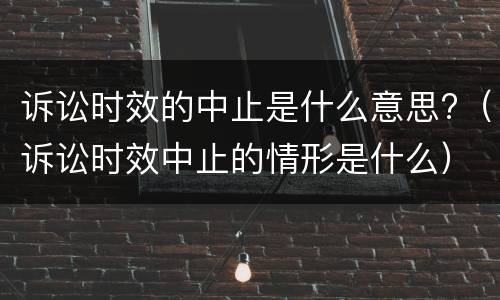 诉讼时效的中止是什么意思?（诉讼时效中止的情形是什么）