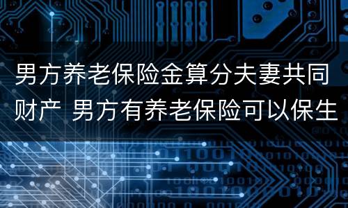 男方养老保险金算分夫妻共同财产 男方有养老保险可以保生育保险吗