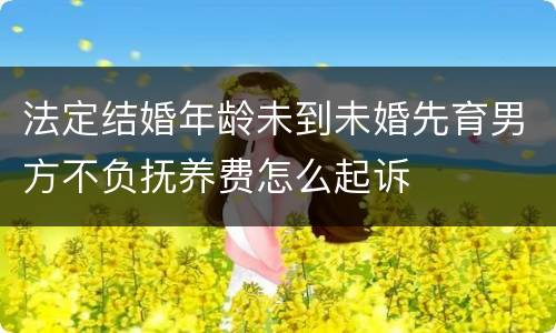 法定结婚年龄未到未婚先育男方不负抚养费怎么起诉