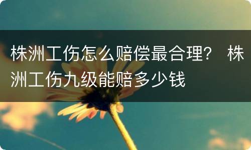 株洲工伤怎么赔偿最合理？ 株洲工伤九级能赔多少钱