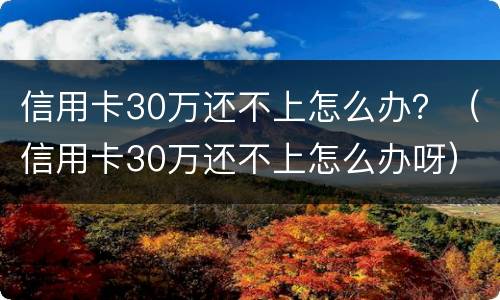 信用卡30万还不上怎么办？（信用卡30万还不上怎么办呀）