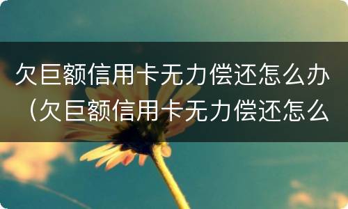 欠巨额信用卡无力偿还怎么办（欠巨额信用卡无力偿还怎么办呢）