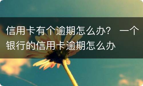 信用卡有个逾期怎么办？ 一个银行的信用卡逾期怎么办