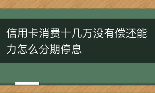 信用卡消费十几万没有偿还能力怎么分期停息
