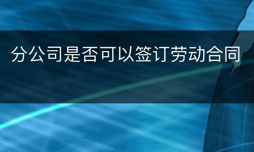 分公司是否可以签订劳动合同