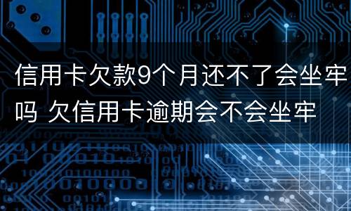 信用卡欠款9个月还不了会坐牢吗 欠信用卡逾期会不会坐牢