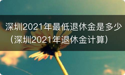 深圳2021年最低退休金是多少（深圳2021年退休金计算）