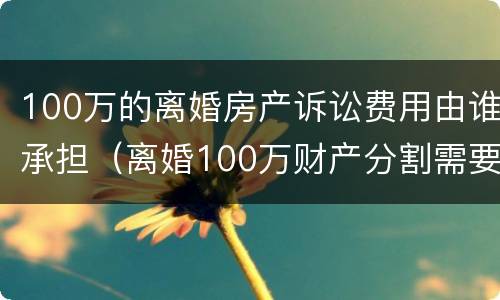 100万的离婚房产诉讼费用由谁承担（离婚100万财产分割需要多少钱?）