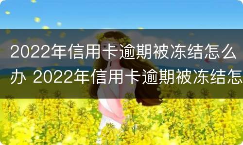 2022年信用卡逾期被冻结怎么办 2022年信用卡逾期被冻结怎么办理