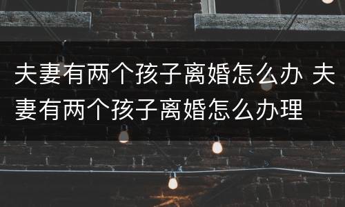夫妻有两个孩子离婚怎么办 夫妻有两个孩子离婚怎么办理