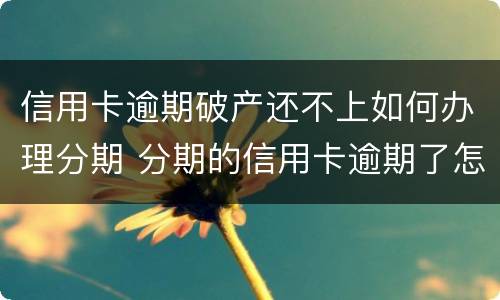 信用卡逾期破产还不上如何办理分期 分期的信用卡逾期了怎么办