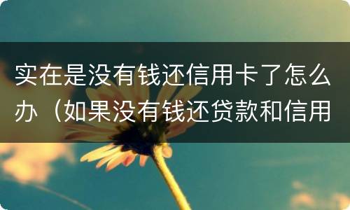 实在是没有钱还信用卡了怎么办（如果没有钱还贷款和信用卡了怎么办）